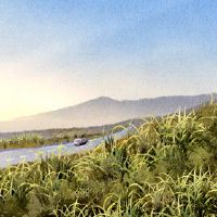 老黄历,男孩出生于2022年2月,汽车是最美丽的。