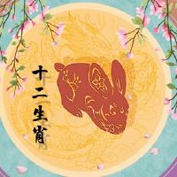 兔子的表现是离婚的,而且很冷。