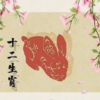 婚姻后,这是一个兔子的人?