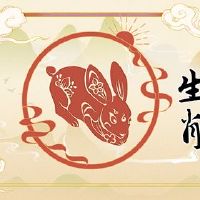 兔子男性测试女人的表现是什么?