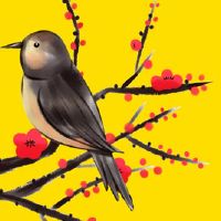 老黄历查询:2022年5月27日可以搬家吗 宜乔迁新居吗