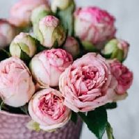 2022年5月27日宜结婚嫁娶吗 这天是黄道吉日么