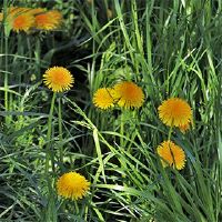 是2022年的农历新年日吗?这是一个jist?你今天过得怎么样?