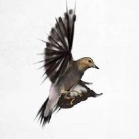 正月十三灯头生日 起源于南宋时期