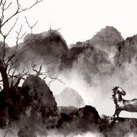 这匹马是在2022年,两个快乐的职业生涯和学者都有所改善