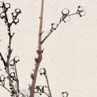 延年开头的手机号 有大将之风的号码