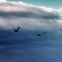 Phandi Parkar 2022吗?