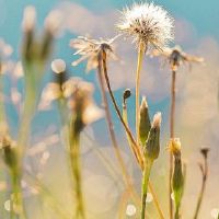 丁伟,2022年,好运是什么?