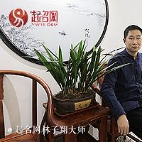 大师起名测名名字测试打分