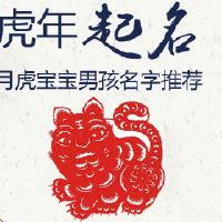 二月虎宝宝男孩名字推荐