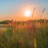 2022是不适合牺牲吗?