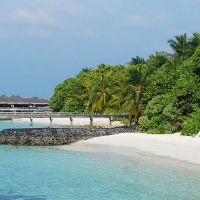 奶油出生的男孩小名字