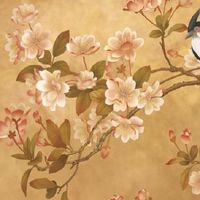 凤相是什么面相 丹凤眼最有好运