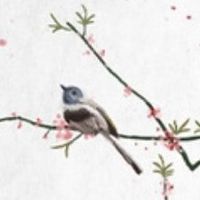 女人面满月国母之贵 最有福气的女人面相