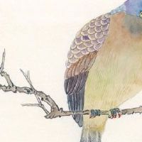 2022年正月二十一出生的女孩五行缺什么 善于交际八面玲珑