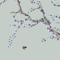 2022年5月13日建房动土吉利吗 农历四月十二黄历日子查询