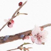 2022年正月二十二出生的虎宝宝命好吗 才华横溢可成大事