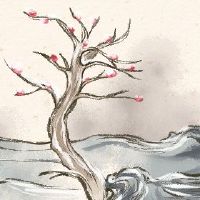 冬天九,七九的含义是什么?