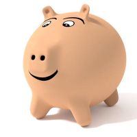 1995年的猪2022财年如何?