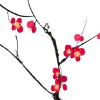 本命年儿童送什么礼物 儿童要穿红内裤吗