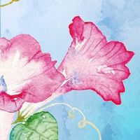 本命年护身符什么时候烧掉 戴本命年护身符讲究