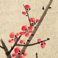 2022年正月二十六出生的男宝宝命好不好 天生聪慧运势平稳