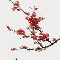 2023年是黑兔年生孩子 这年出生最佳月份时辰