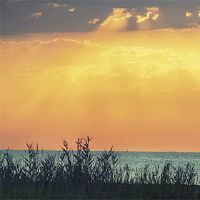 2022年,这是一天的战争吗?