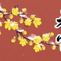 2022灯笼节,何时是最多的2月17日0:56月亮是最环球