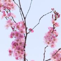 2022年5月20日宜建房动土吗 农历四月十九今日黄历宜忌