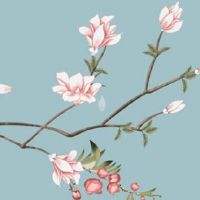 什么女人面相嫁高官 耳有垂珠有福又有人缘