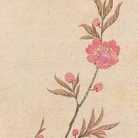 2022年正月二十八出生的女宝宝五行缺什么 有勇有谋前程无忧