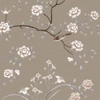 特殊智慧线两条图解 独特的双重人格魅力