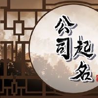 网络公司名称好高级老虎的名字