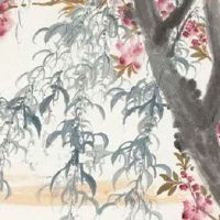 2022年雨水多还是少,丰收如何 今年春季降水量多吗