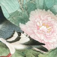 命理鼠兔相刑反而好 对彼此桃花运势影响深远