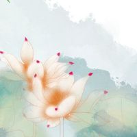 生肖对冲表:2022年7月8日属什么生肖冲什么属相