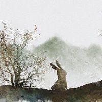 2022年4月生肖兔有烂桃花吗 桃花缠身情感纠纷