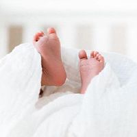 2022婴儿出生于2022年4月15日?什么是星座?