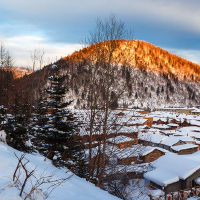 猪的2019年的男孩是如何出生的,猪的一年获得一个名字,五个要素是什么?