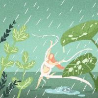 雨水的特点是什么?