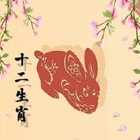 这是兔子的平稳生活。