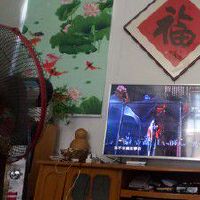 篇良心评测tcl 55q2m和55q2哪个好?价格多少钱,怎么样?真实使用感受不看不清楚!