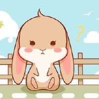 属于兔子人2022吉利和不利的方向