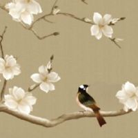 迟早必暴富的面相 鼻头丰满有肉之人