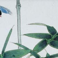 嫁有钱人的女人面相 下巴宽厚容易嫁有祖产的老公