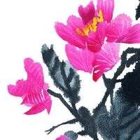 2022年5月8日是什么日子 农历四月初七是提车黄道吉日吗