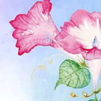 2022年5月14日能不能提车 农历四月十三是上牌日子吗