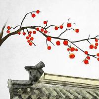 2011年属兔男孩命运好不好 晚年生活富裕