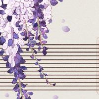 3月下旬,桃花盛开,月份的婚姻是3大十二生肖